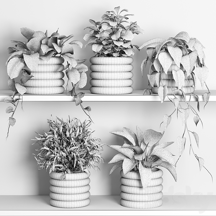 plants on shelf 06 3DS Max Model - thumbnail 2