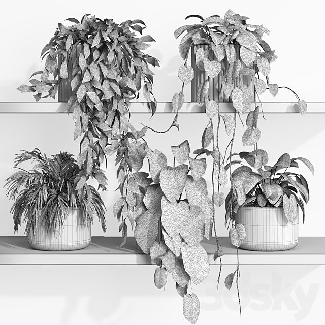 plants on shelf 17 3DS Max Model - thumbnail 3