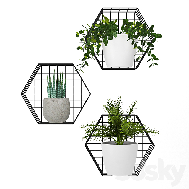 Plants on the wall 3DSMax File - thumbnail 1