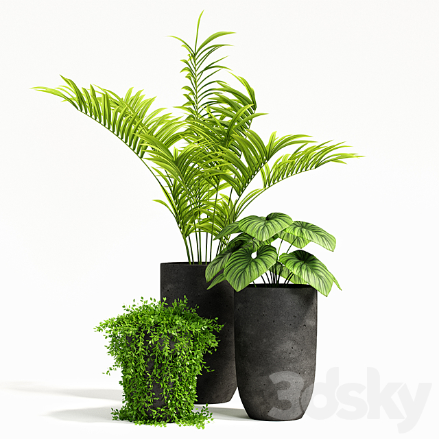 plants set 03 3DSMax File - thumbnail 1