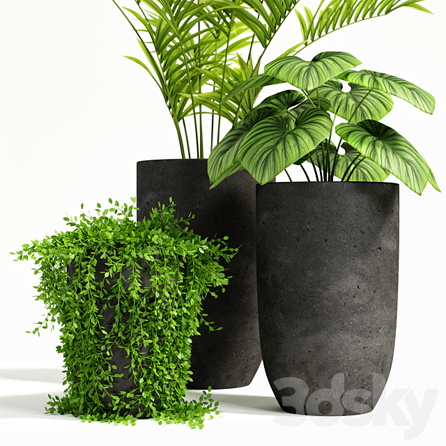 plants set 03 3DSMax File - thumbnail 2