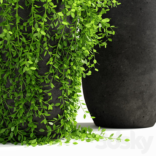 plants set 03 3DSMax File - thumbnail 4