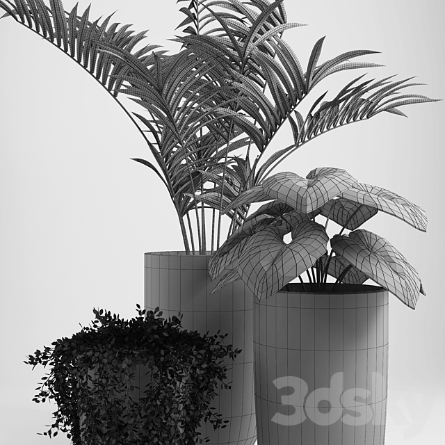 plants set 03 3DSMax File - thumbnail 5