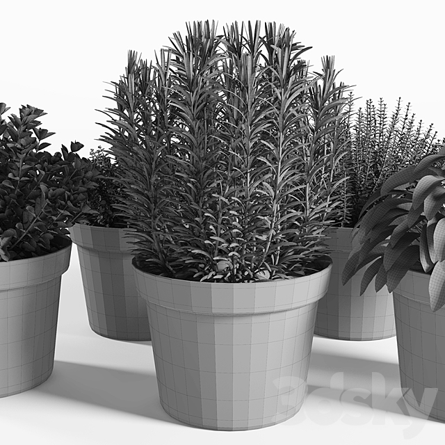 plants set 05 3DSMax File - thumbnail 3