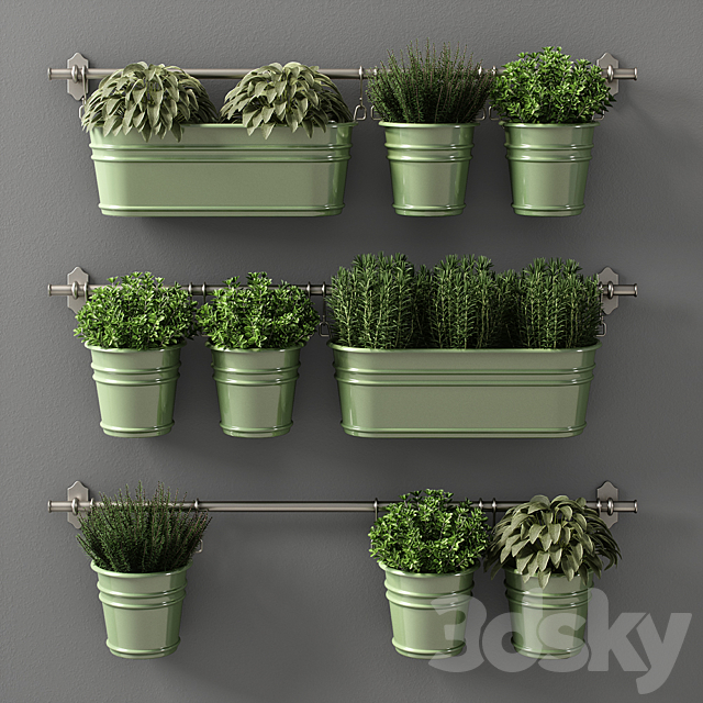 plants set 08 3DSMax File - thumbnail 1