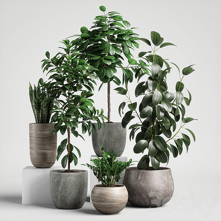 plants set 10 3DS Max - thumbnail 1