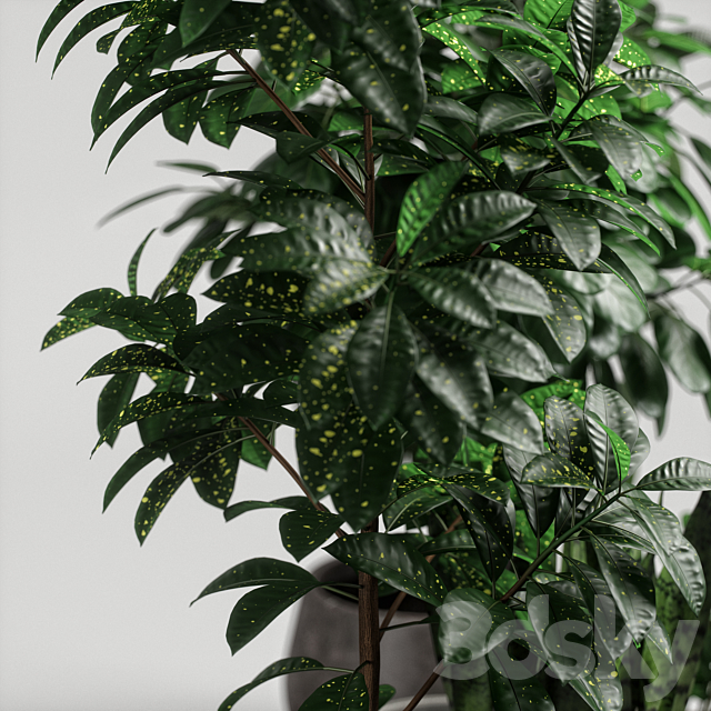 plants set 10 3DSMax File - thumbnail 4