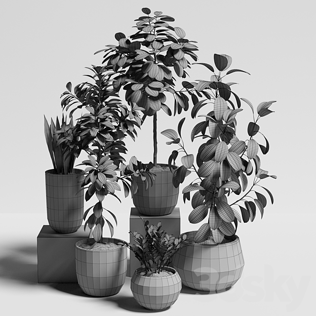 plants set 10 3DSMax File - thumbnail 5