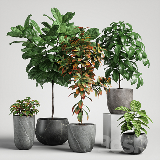 plants set 11 3ds Max - thumbnail 1