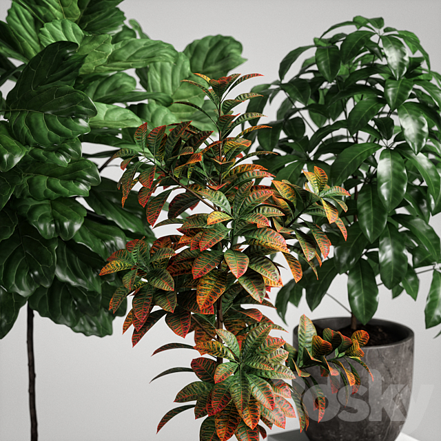 plants set 11 3ds Max - thumbnail 3