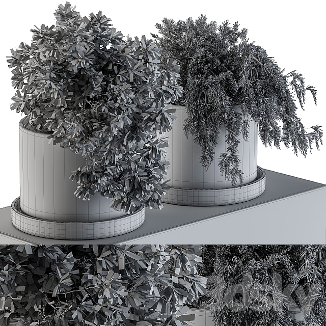 Plants set 47 3DS Max Model - thumbnail 4