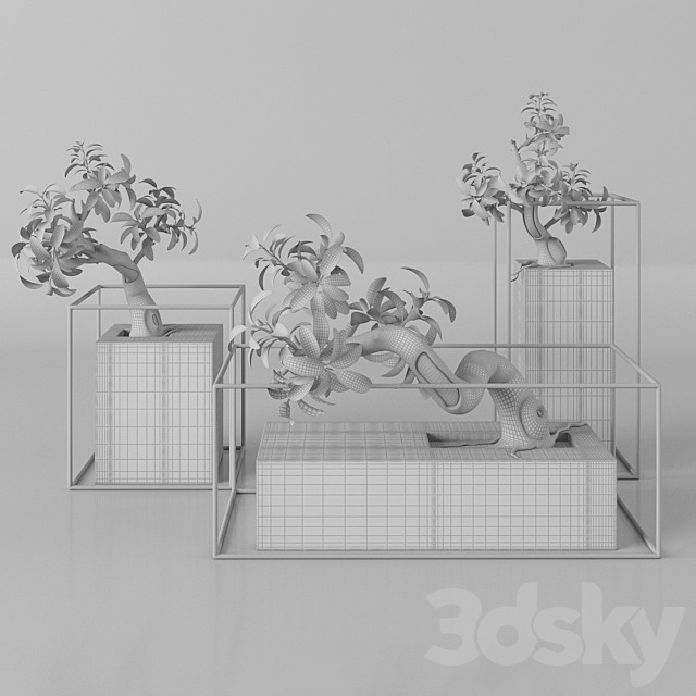 Plants tree 33 bonsai 3DSMax File - thumbnail 2