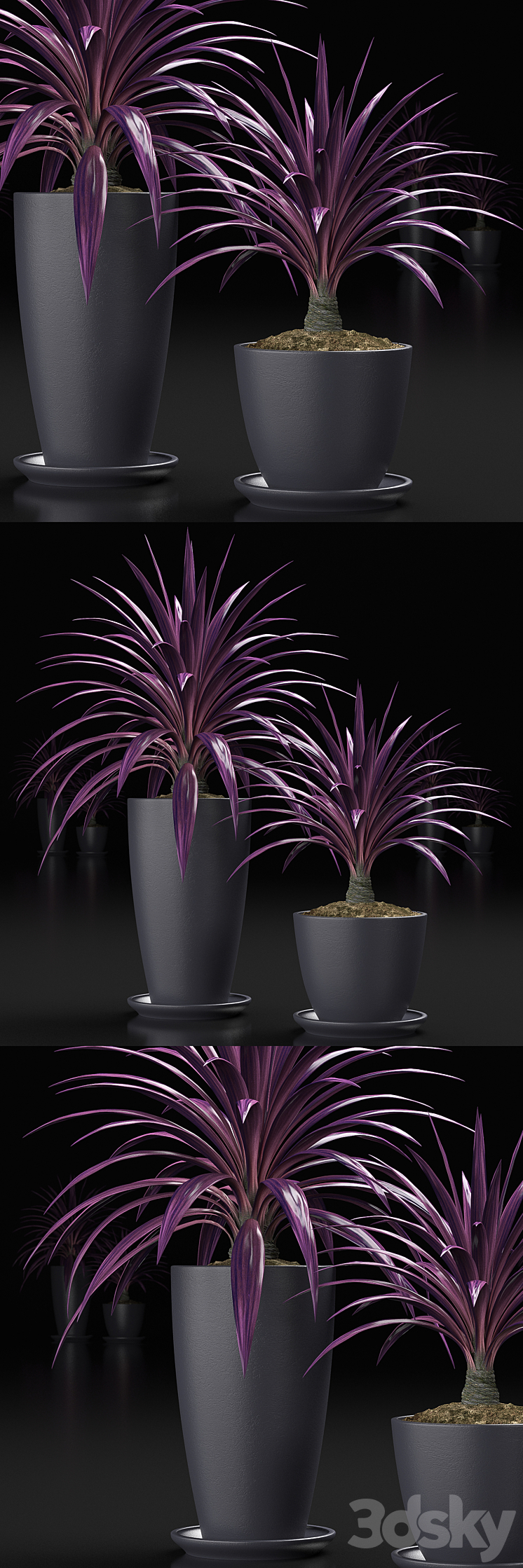 PLANTS_16 3DS Max - thumbnail 1