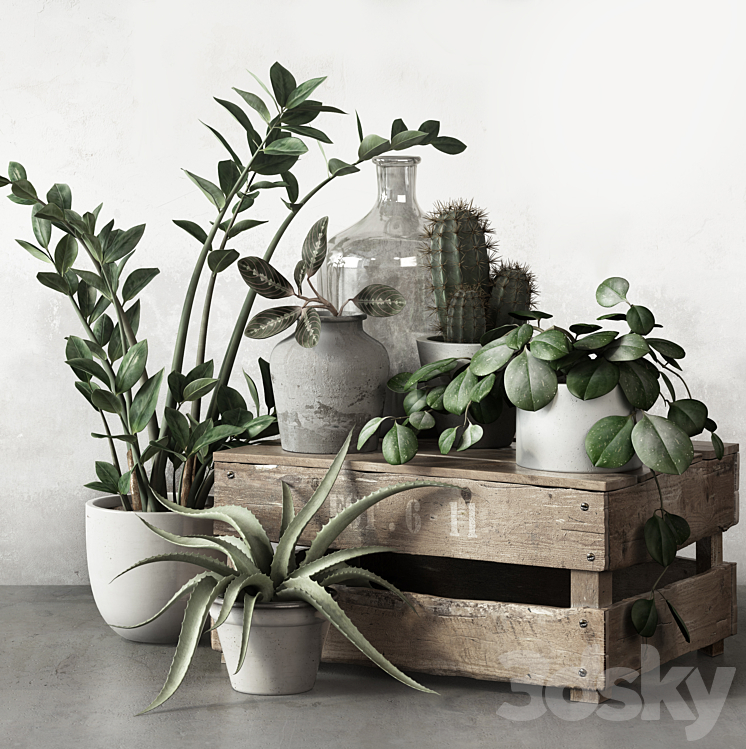 PLANTSET 2 3DS Max - thumbnail 1