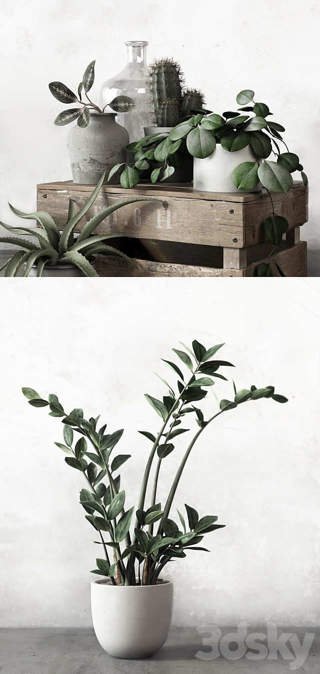 PLANTSET 2 3DSMax File - thumbnail 3