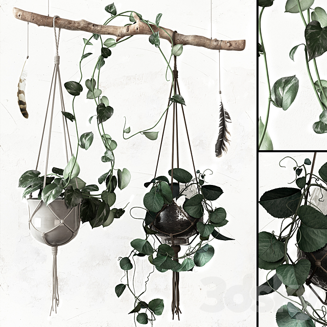 PLANTSET 3DSMax File - thumbnail 1