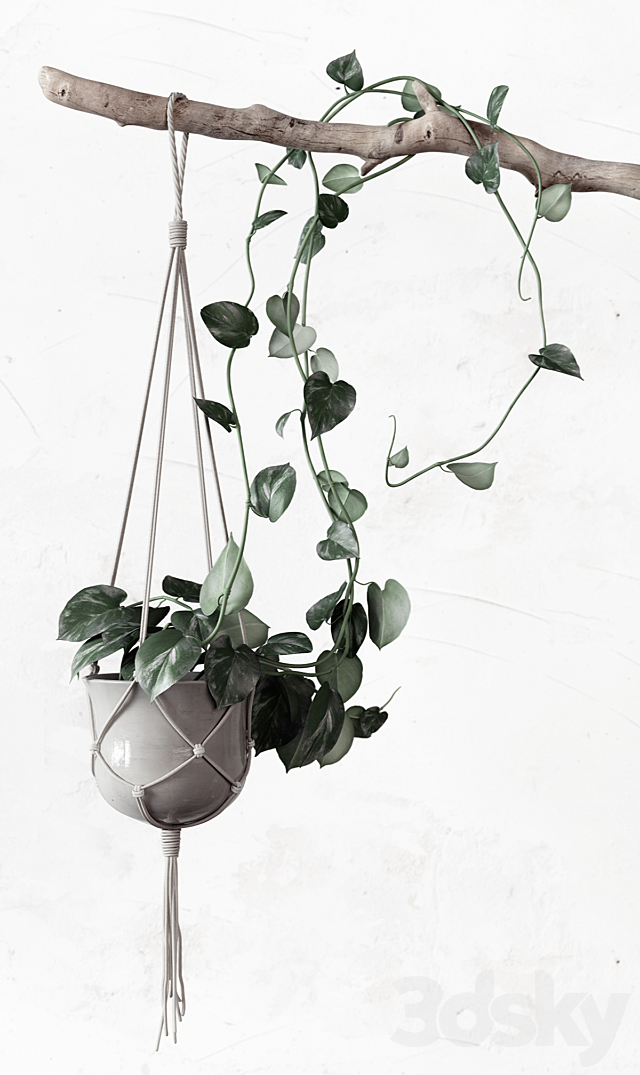 PLANTSET 3DSMax File - thumbnail 3