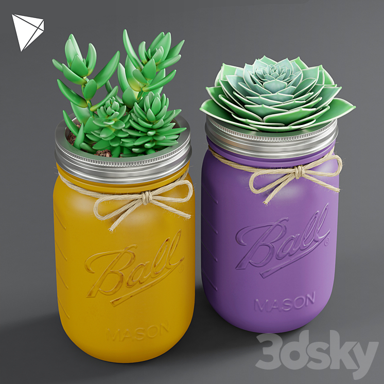 Pot Ball Mason Jar Succulent 3DS Max - thumbnail 1