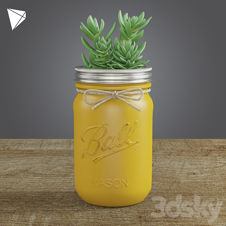 Pot Ball Mason Jar Succulent 3DS Max - thumbnail 2