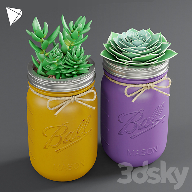 Pot Ball Mason Jar Succulent 3DSMax File - thumbnail 1