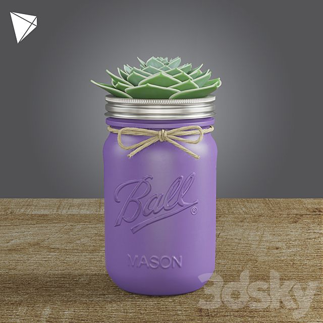 Pot Ball Mason Jar Succulent 3DSMax File - thumbnail 3