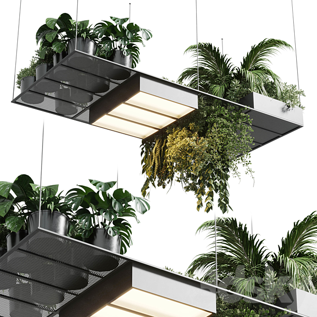 pot light – pendant plant light hanging 10 3DSMax File - thumbnail 1