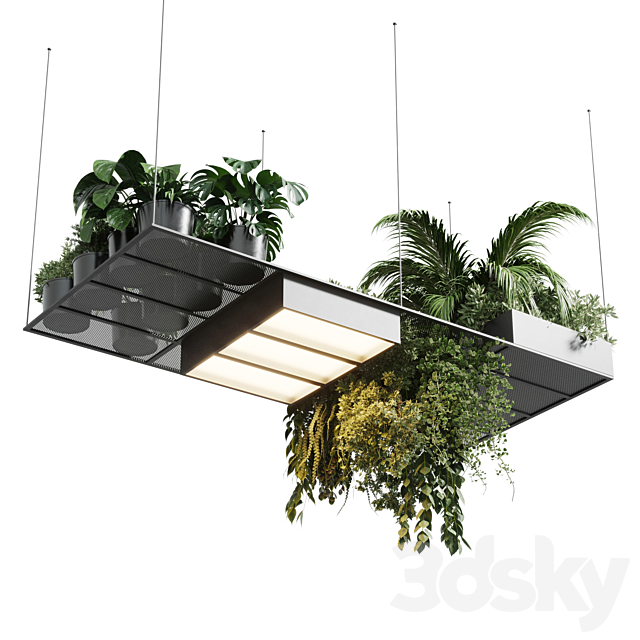 pot light – pendant plant light hanging 10 3DSMax File - thumbnail 2