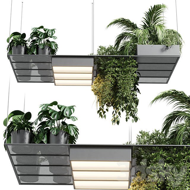 pot light – pendant plant light hanging 10 3DSMax File - thumbnail 3