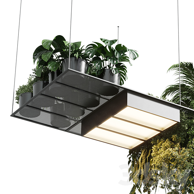 pot light – pendant plant light hanging 10 3DSMax File - thumbnail 4