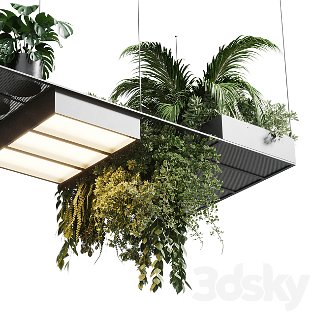 pot light – pendant plant light hanging 10 3DSMax File - thumbnail 5