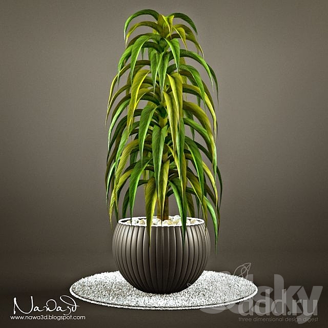 Pot Plant 1 3ds Max - thumbnail 1