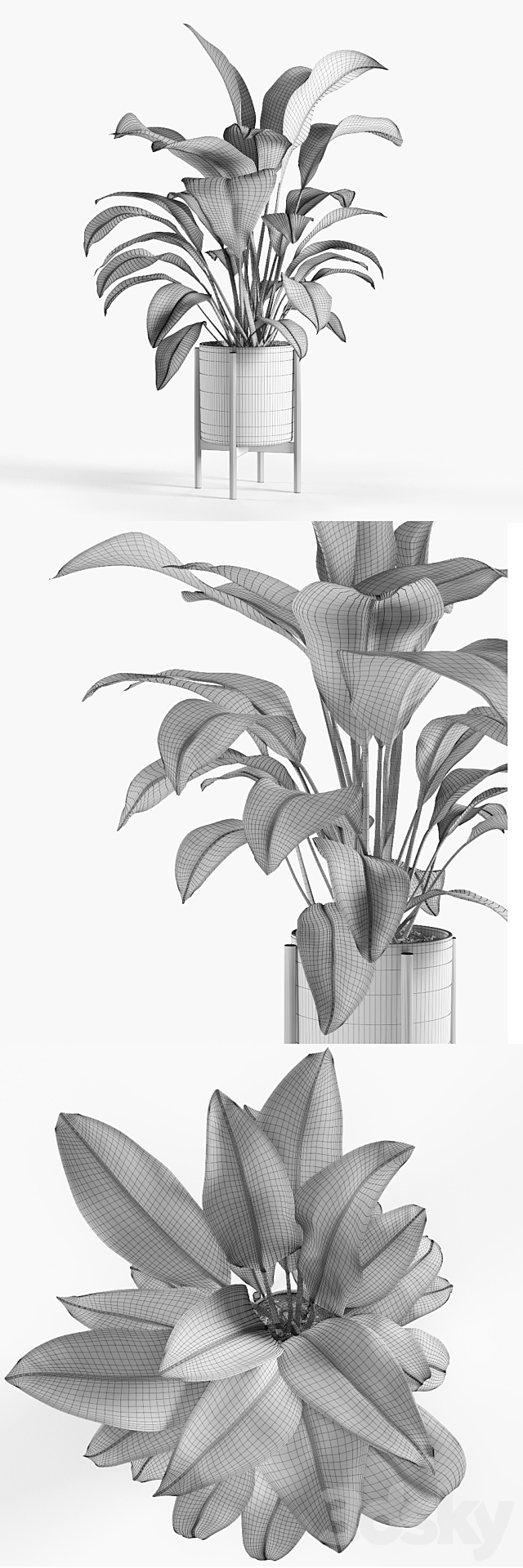 Pot plant 3DSMax File - thumbnail 3