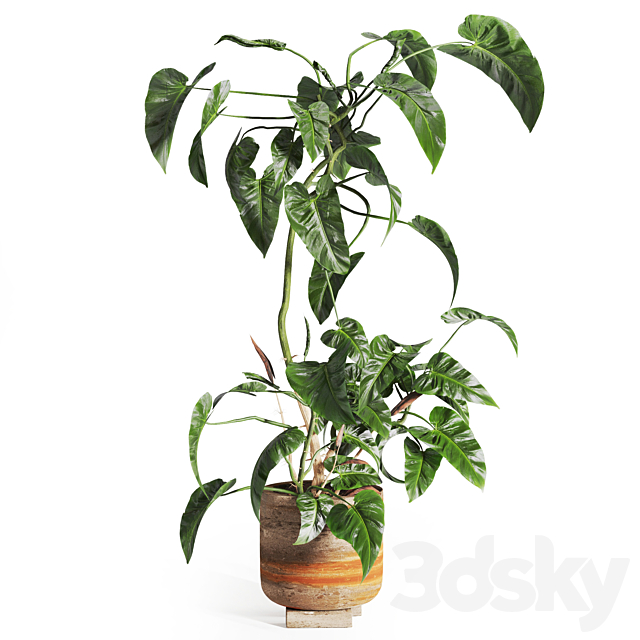 pothos in concrete Pot 3ds Max - thumbnail 2