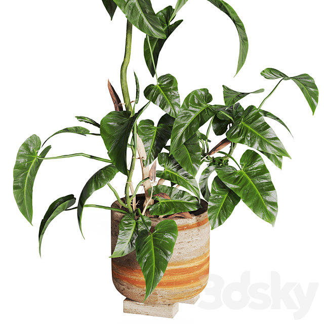 pothos in concrete Pot 3ds Max - thumbnail 3