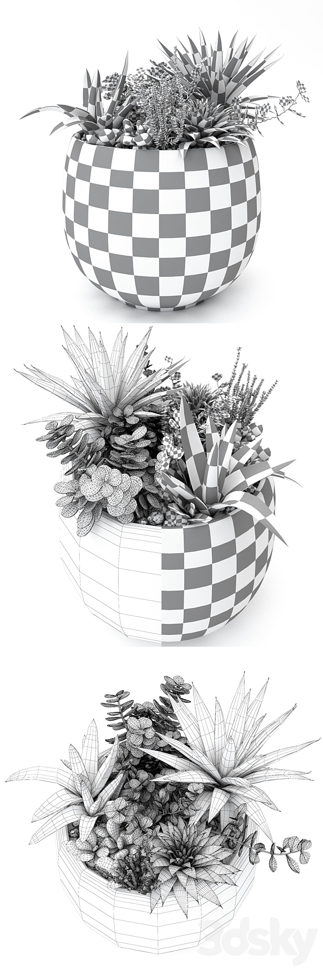 Pots with plants succulents 3DSMax File - thumbnail 3