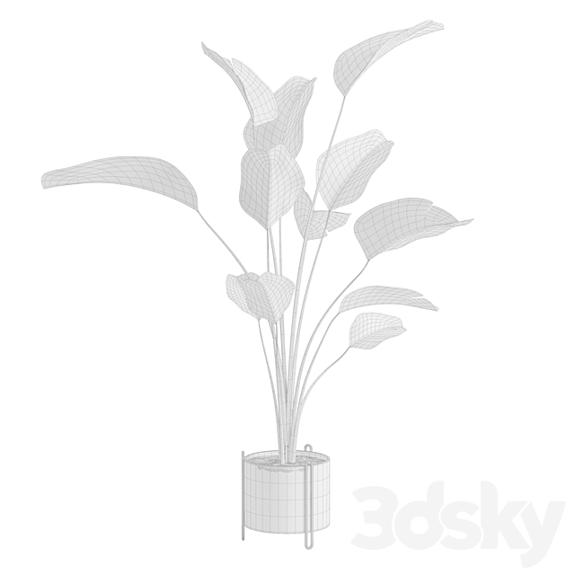 Potted Calathea Lutea 3ds Max - thumbnail 3