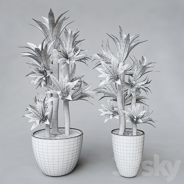 Potted plant 3DSMax File - thumbnail 2