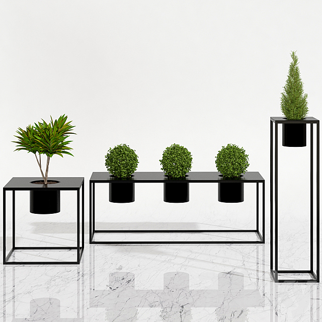 Potted plants 05 3DSMax File - thumbnail 1