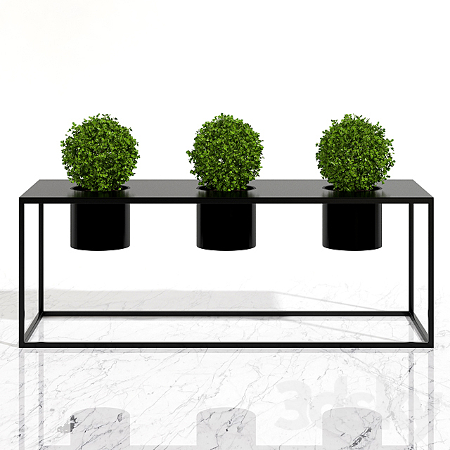 Potted plants 05 3DSMax File - thumbnail 2