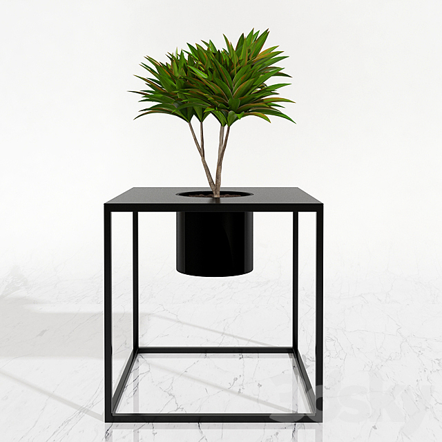 Potted plants 05 3DSMax File - thumbnail 3