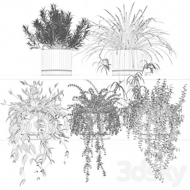 Potted plants on the shelf 3ds Max - thumbnail 3