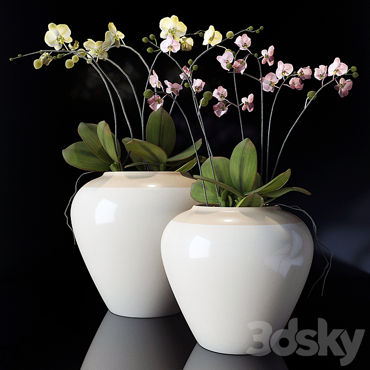 potterybarn Orchid 3DS Max - thumbnail 1