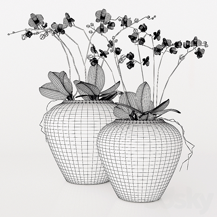 potterybarn Orchid 3DS Max - thumbnail 2