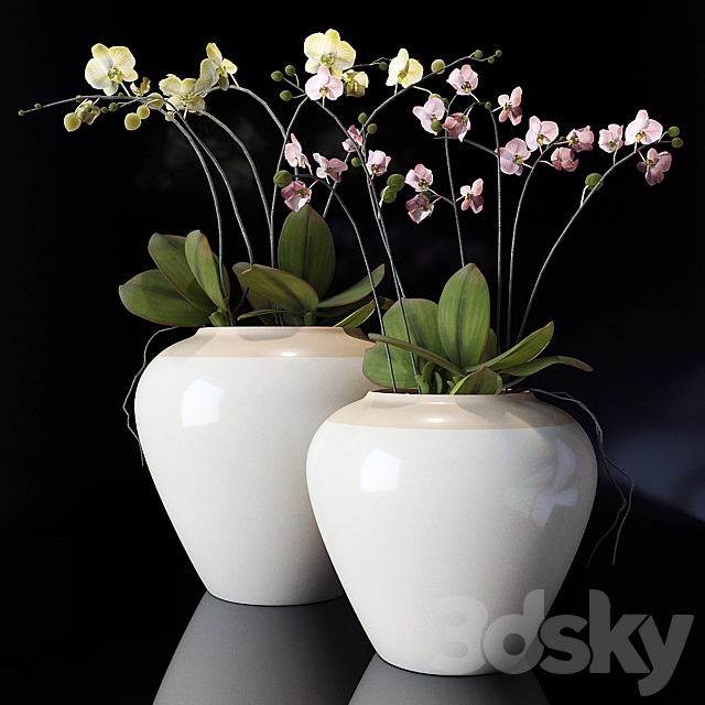 potterybarn. Orchid 3DSMax File - thumbnail 1