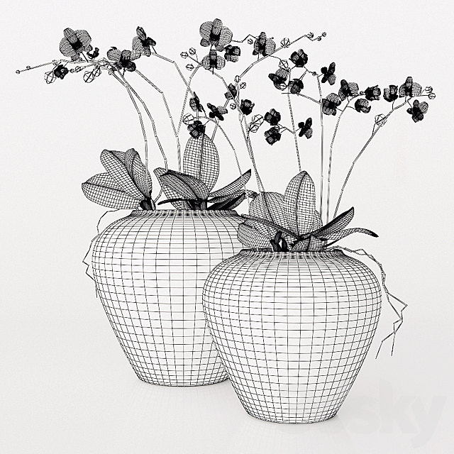 potterybarn. Orchid 3DSMax File - thumbnail 2