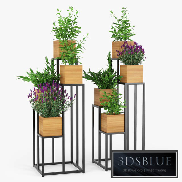 Quadrant plant stand 3DS Max - thumbnail 3