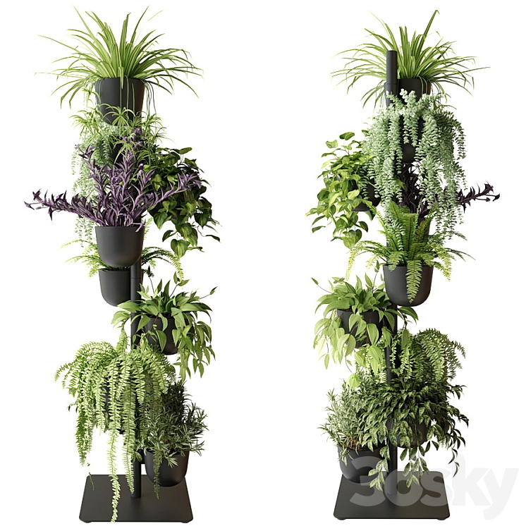 Rack with indoor plants in pots 3DS Max Model - thumbnail 3