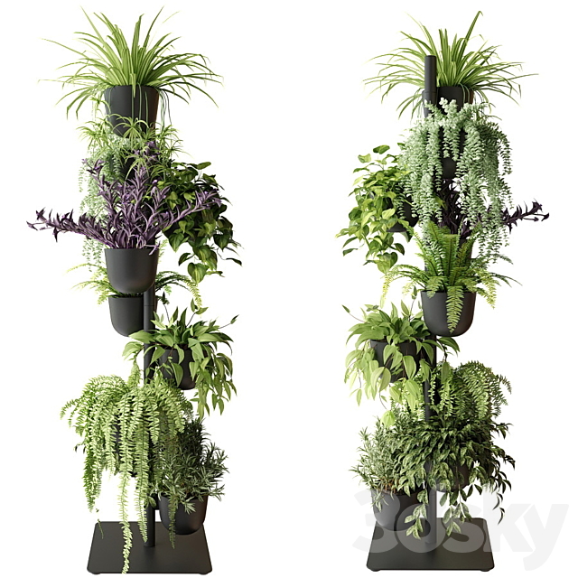 Rack with indoor plants in pots 3DSMax File - thumbnail 1