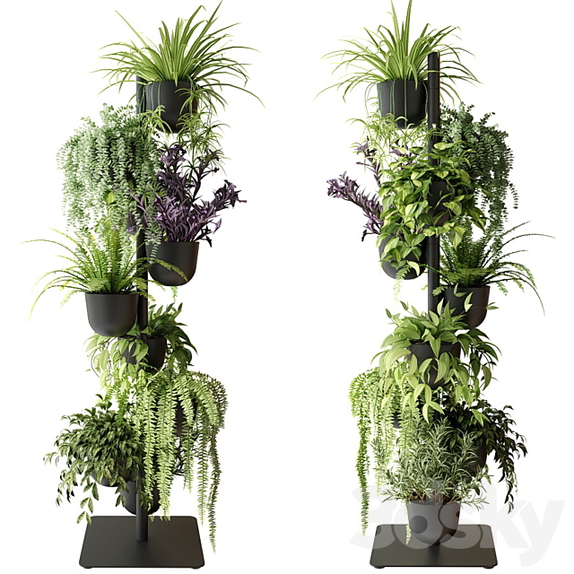 Rack with indoor plants in pots 3DSMax File - thumbnail 2