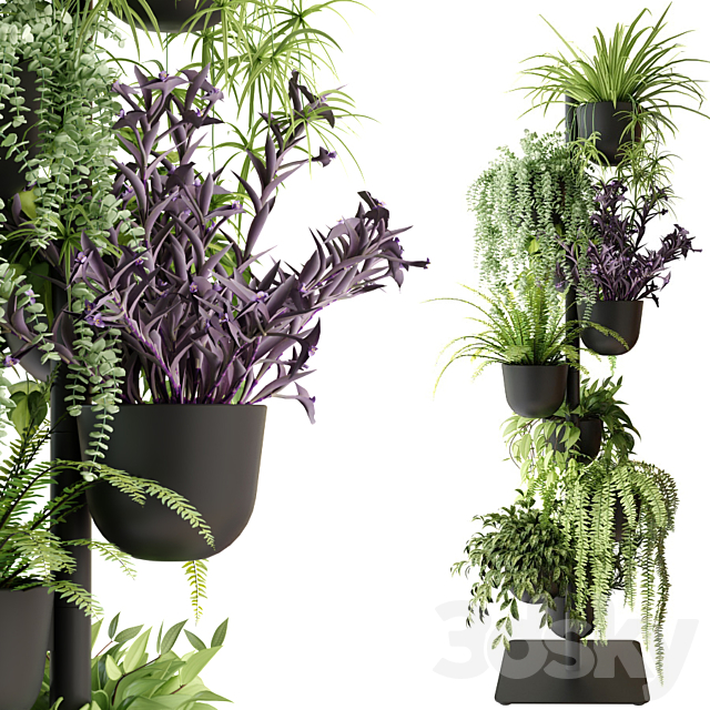 Rack with indoor plants in pots 3DSMax File - thumbnail 4